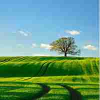 网‌站‍收‌录‌查​询​的‌方‍式‍有‍哪‍些‌